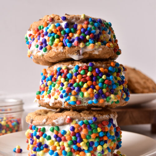ice cream sandwich