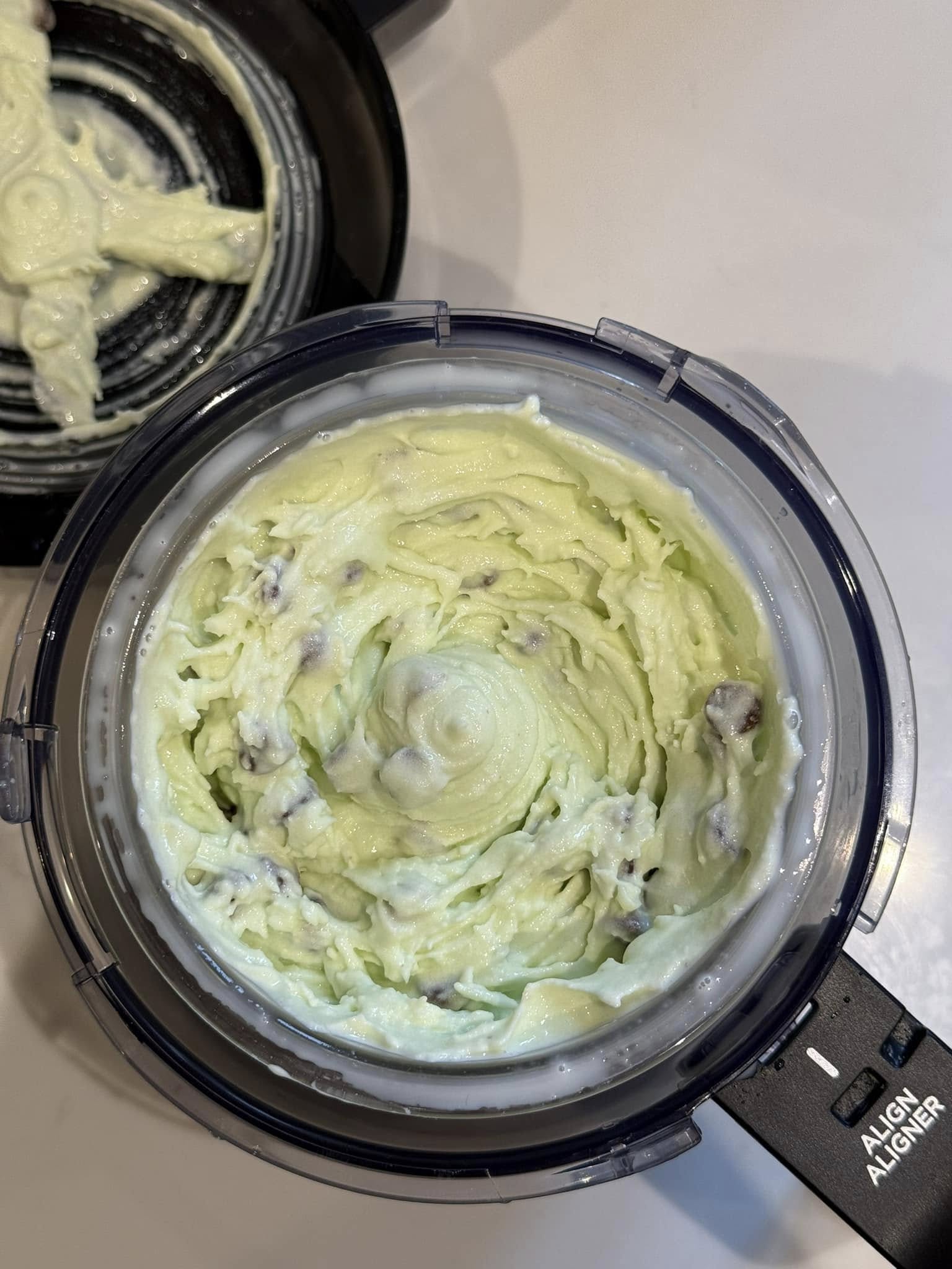 ninja creami mint choc chip ice cream