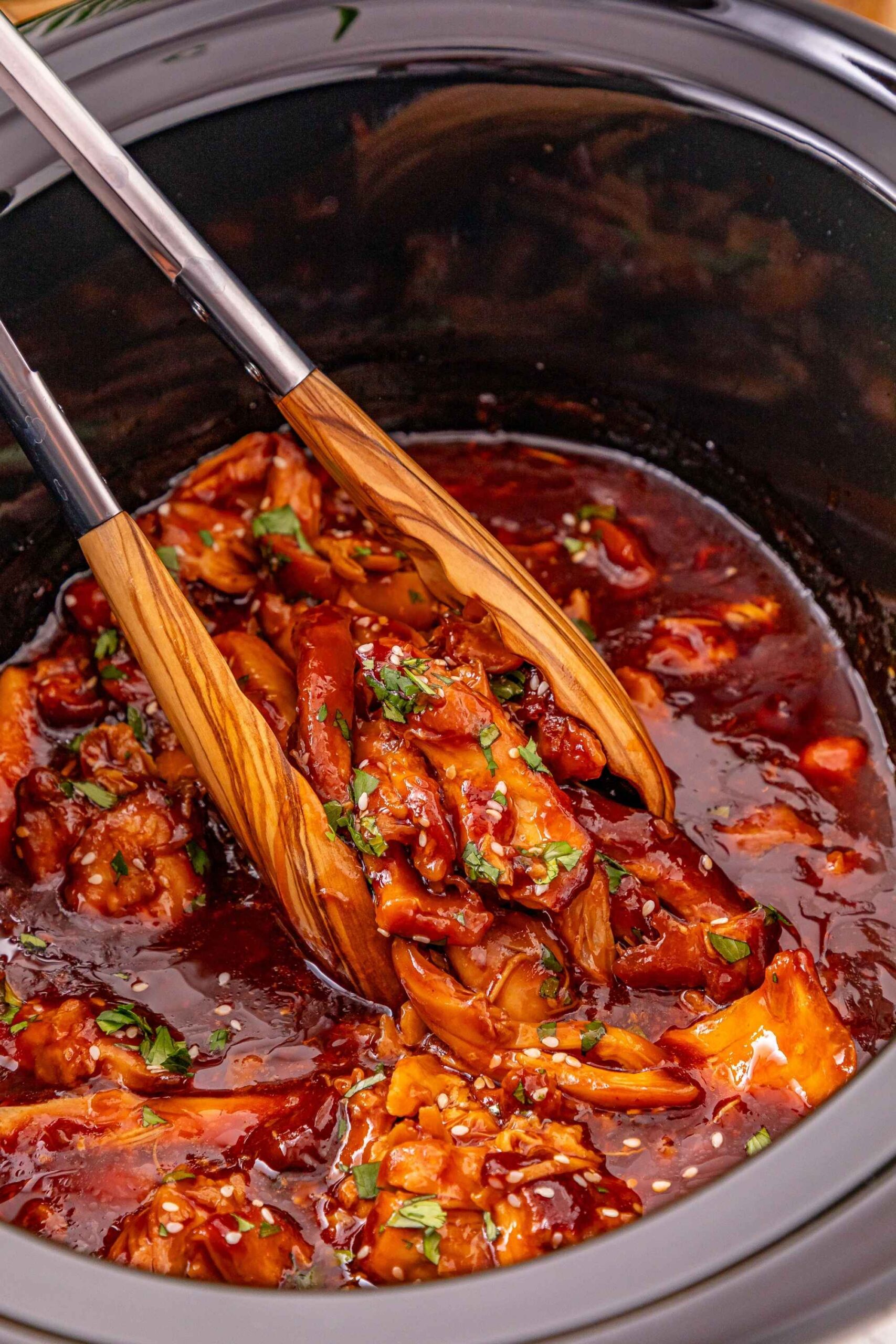 slow cooker honey garlic chicken