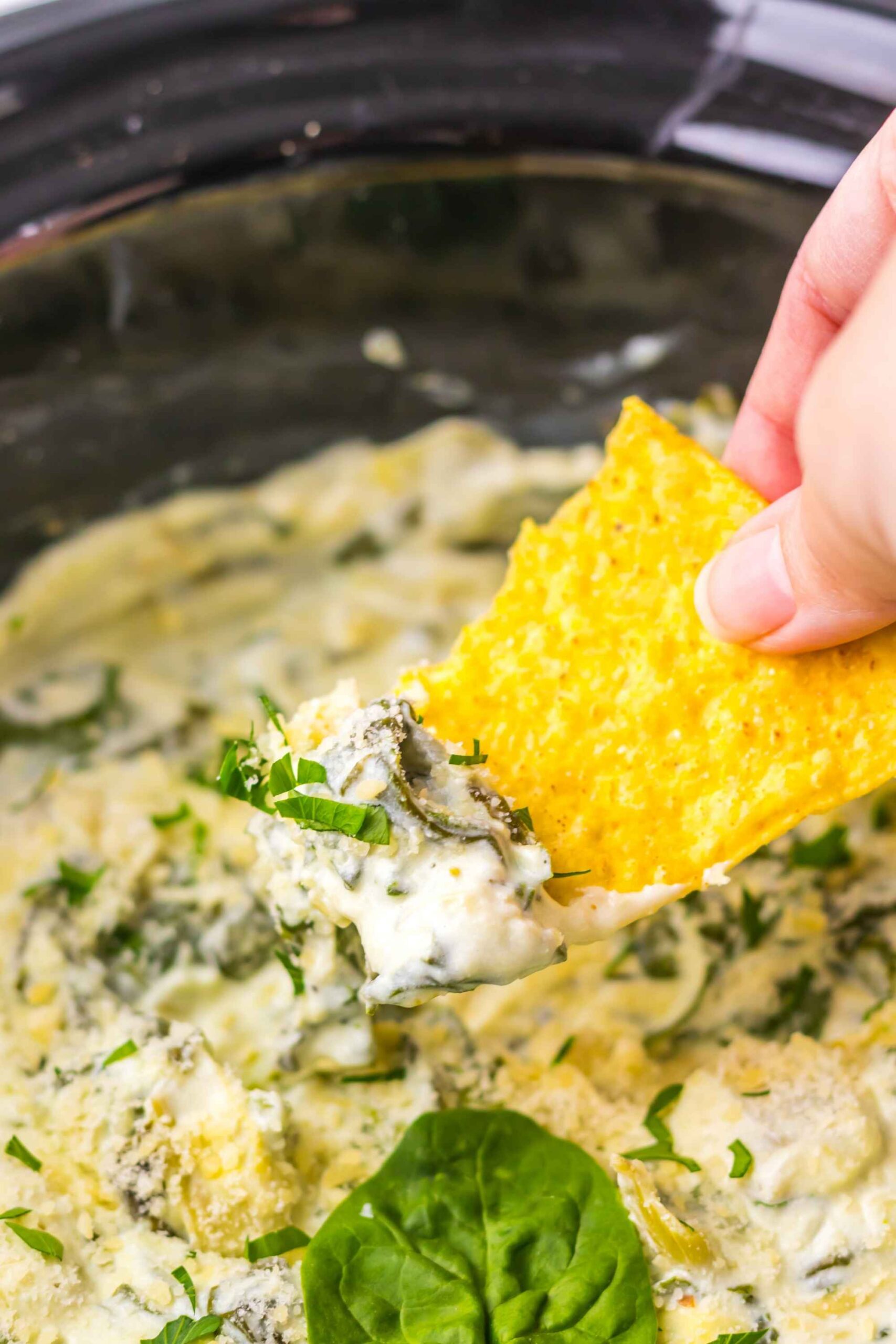 spinach dip and chip