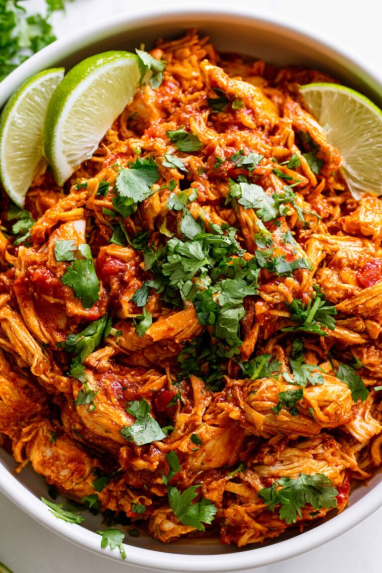 salsa chicken in bowl
