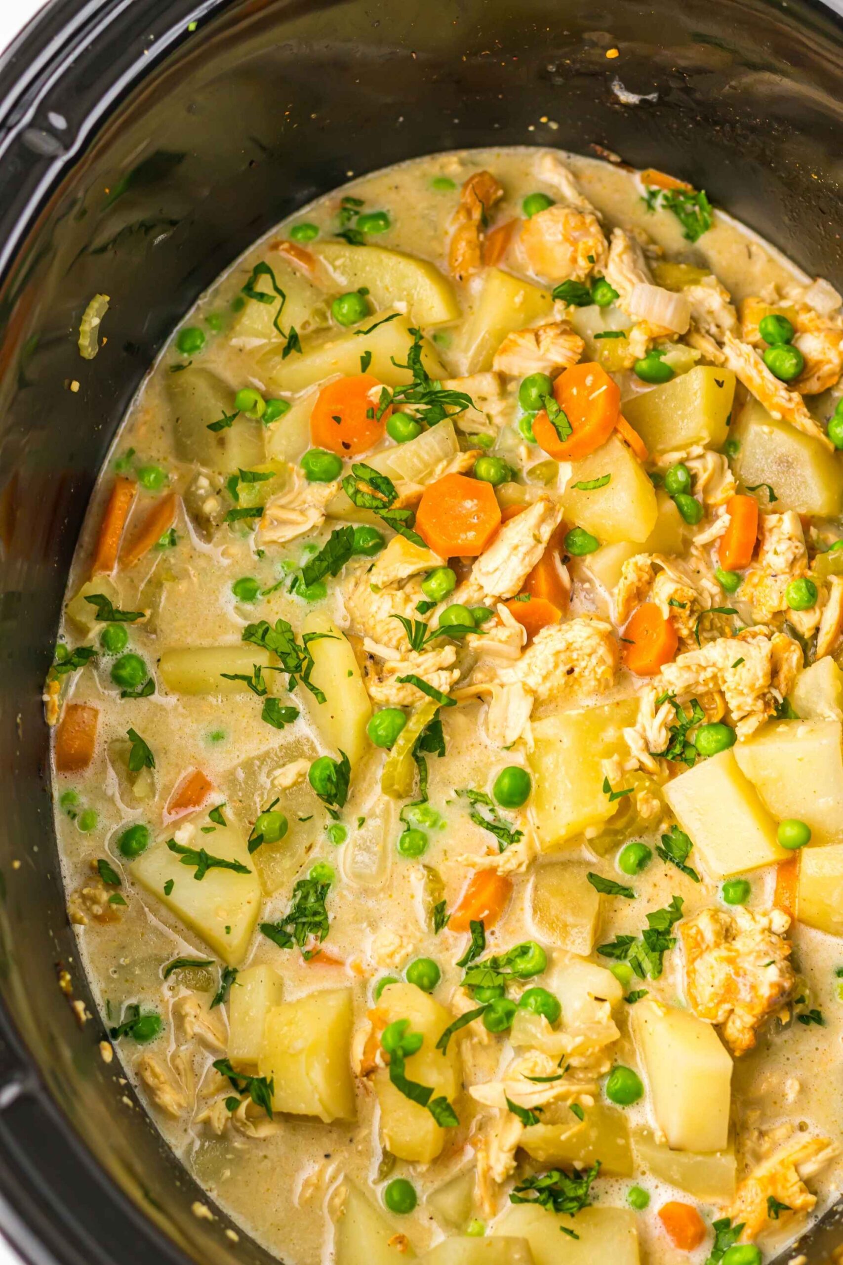 crockpot turkey stew
