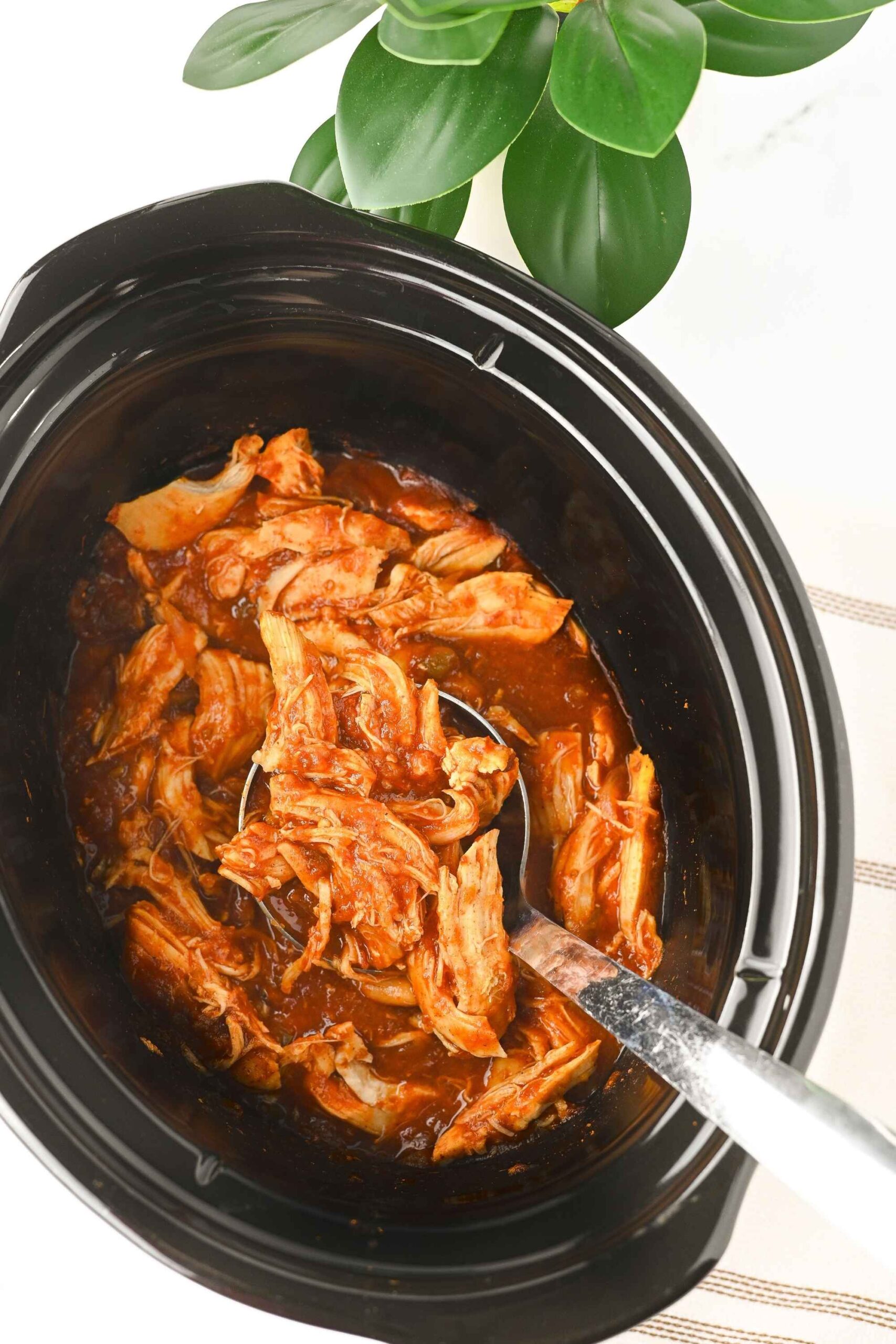 salsa chicken for nachos